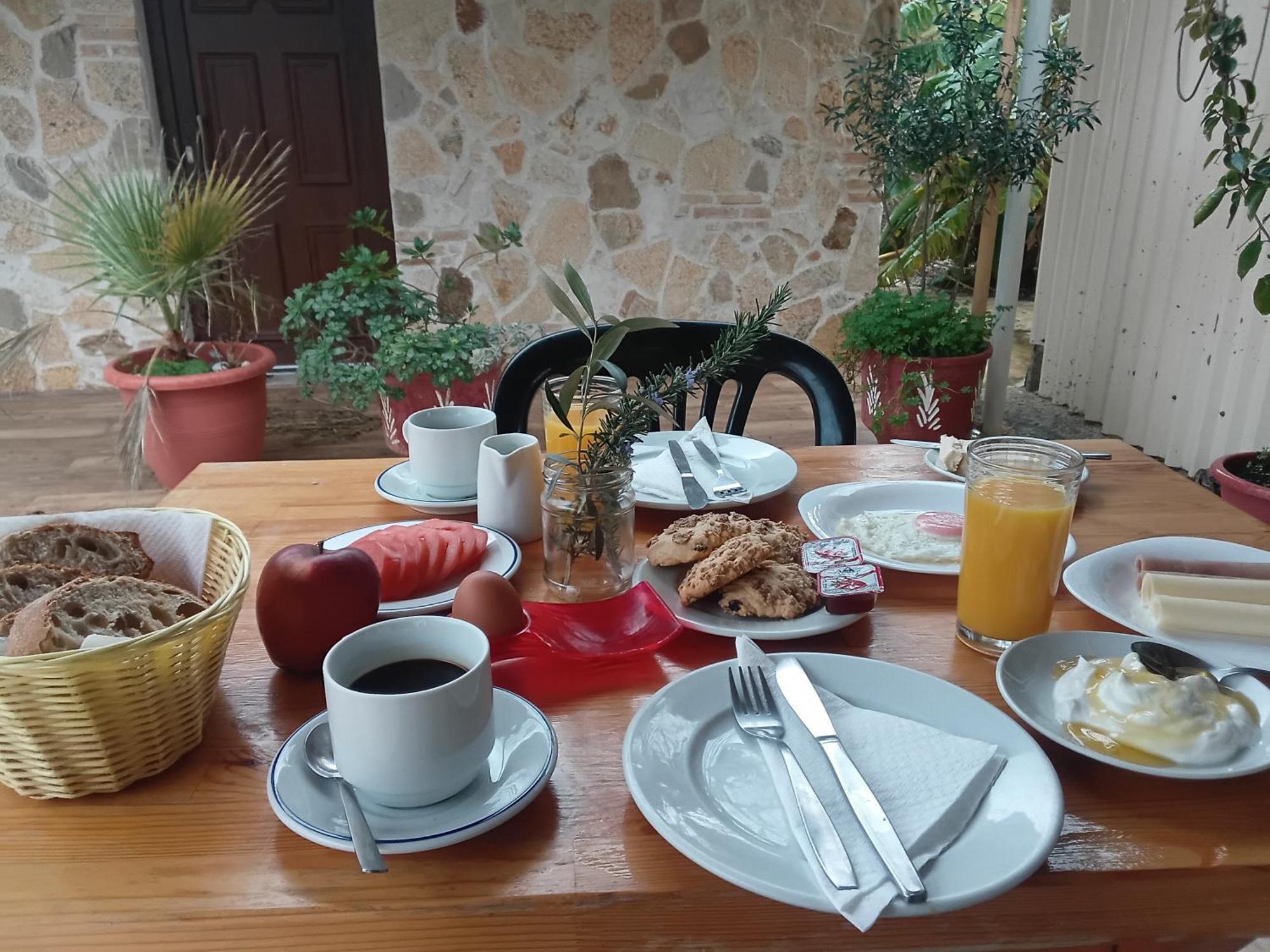 Olive House Bed & Breakfast Marathias Exterior foto